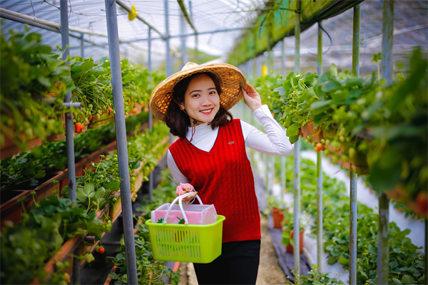 通胀预期危险了？美国重要民调：人们对美联储主席鲍威尔的信心接近历史低位
